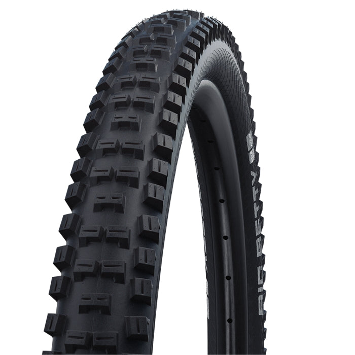 Schwalbe Big Betty Performance Wired 26x2.4