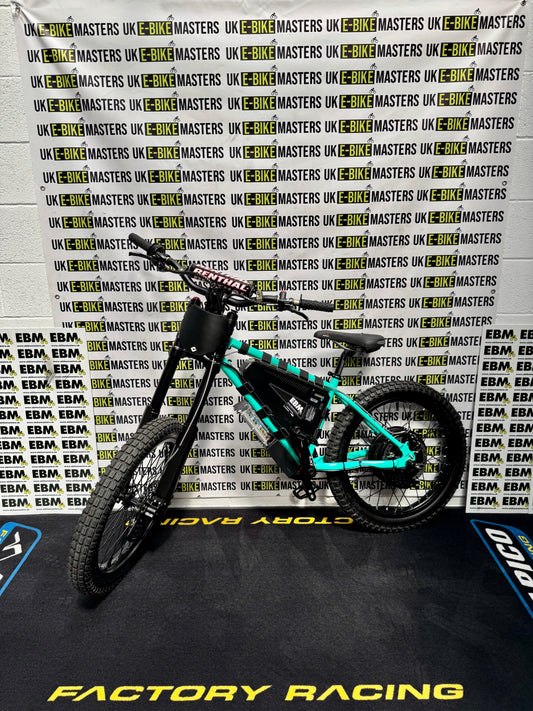 EBM Custom Wheelie Machine Teal